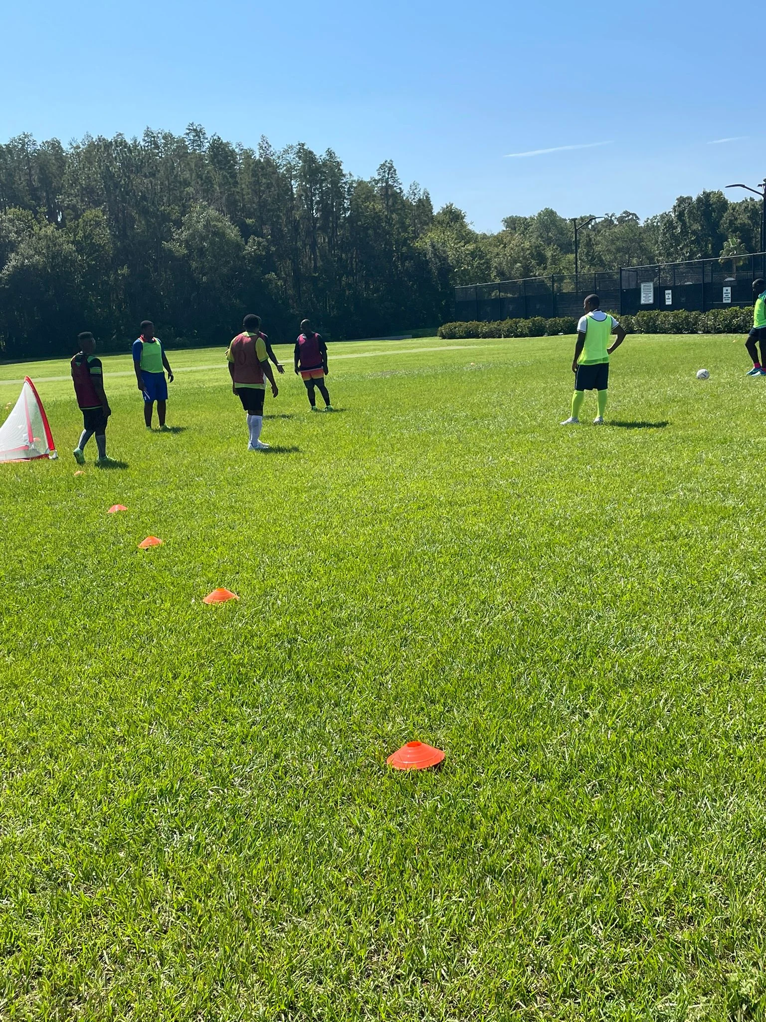 Football players practicing on a grass field